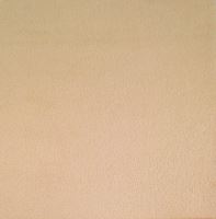 Froté prostěradlo 80x160 cm (č.29-béžová) (1)